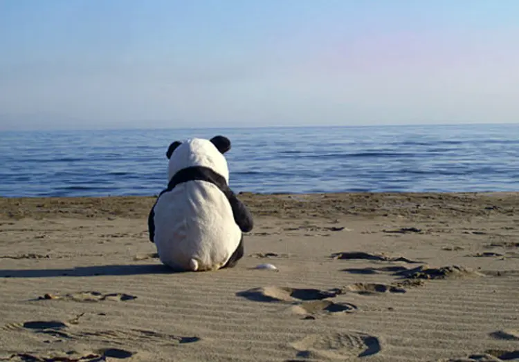 lonelybeachpanda