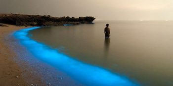 National Geographic Fotoğrafçılarından 2015 Yılında En Çok Etkileşim Alan 20 Muazzam Fotoğraf