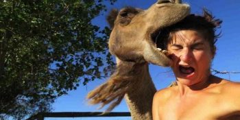 Muhtemelen 2016’da Aramızda Olamayacak 23 Talihsiz Kişi