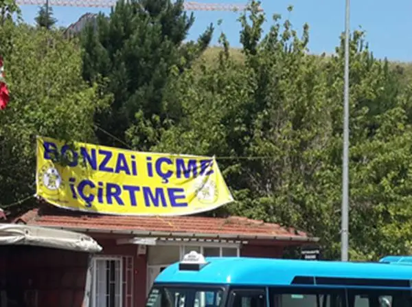 uyarimuhtar-bonzai