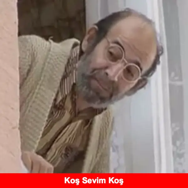 yasadigi ilin yerel