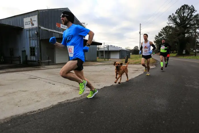1.ludivine.maraton.list