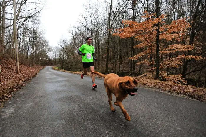 3.ludivine.maraton.list