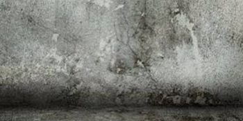 Can Dündar’ın Hapiste Çektiği 18 Anlamlı Fotoğraf