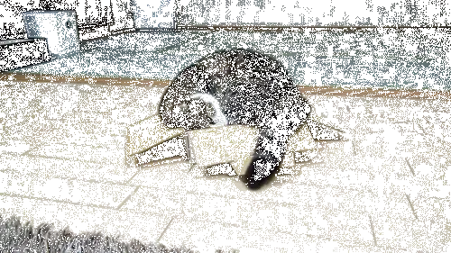 catboxx