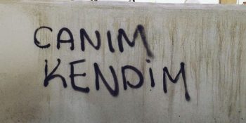 Hangi Duvar Yazısı Facebook Kapak Fotoğrafın Olmalı? [Kedili Test]