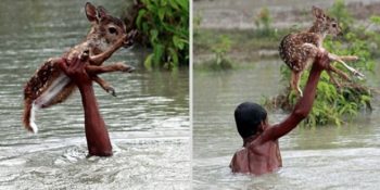 Yaşamın Ancak İyilikle Anlamlandığının Kanıtı 11 Kalp Isıtan Olay