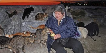 Sokak Hayvanlarının Her Akşam Yolunu Gözlediği Harika Muhtar’ın Sıcacık Hikayesi