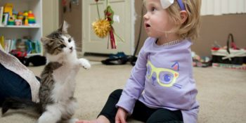 Kanser Yüzünden Kolunu Kaybeden Küçük Kızla Tek Patili Kedinin Tatlı Dostluğu