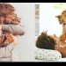 Kedi Seven Erkeklerin Bir Dünya Harikası Olduğunun 15 Kanıtı