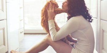 Gerçek Bir Kedi Bağımlısı Olduğunuzun 21 Miyavsal Kanıtı