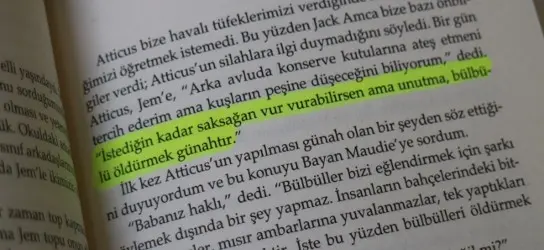 1.bulbulu.oldurmek.gunahtir