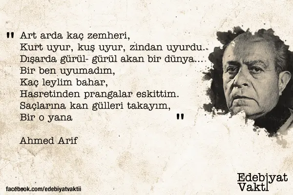 ahmet arif (1)