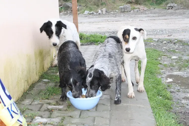 bagci.lokantalari.tek.tek.dolasarak