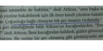 Dünya Edebiyatının En Önemli Örneklerinden Biri Olan “Bülbülü Öldürmek”ten 12 İnsani Alıntı