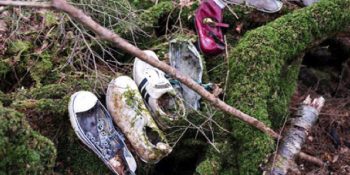 Japonya’da “İntihar Ormanı” Olarak Da Bilinen Aokigahara Ormanının Ürküten Hikayesi