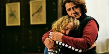 Kirpinin Zarafeti’nden 19 Alçakgönüllü Alıntıyla Duygusal Eğitim