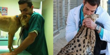 Veterinerliğin Dünyanın En Büyülü Mesleklerinden Biri Olduğunun 18 Fotoğrafla Kanıtı