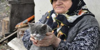 Kedileri Aç Kalır Diye Evinden Ayrılamayan Münevver Teyzenin İçinizi Isıtacak Hikayesi