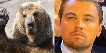 The Revenant’taki Ayının Bile Oscar’ı Leonardo’dan Daha Çok Hak Ettiğinin 12 Kanıtı