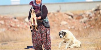 Sokak Hayvanları İçin Kilometrelerce Yol Yürüyerek Yemek Toplayan Rukiye Teyzenin Hikayesi