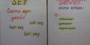 Tüm TDK Yüreklileri Çileden Çıkaran 18 Yazım Yanlışı