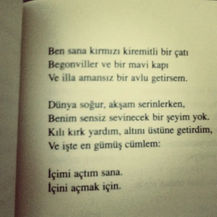1.dunya.sogur.aksam.serinlerken
