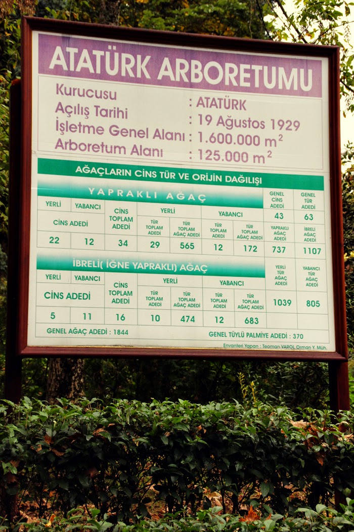 5e6dc-14-yalova-ataturk-arboretumu