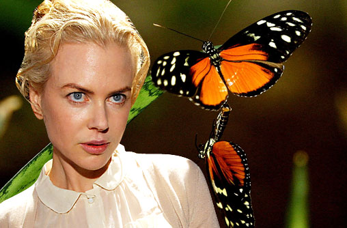Nicole-Kidman-kelebek-korku