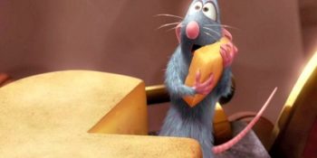 Peynir Hakkında Muhtemelen Vedat Milör’ün Bile Duymadığı 14 Gerçek