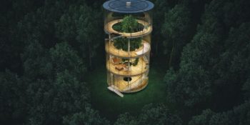 Şehirden Daralmış Bünyelere İlaç Gibi Bir Mimari: Evin İçinde Yeşeren Ağaç