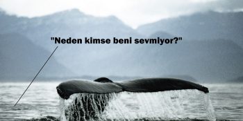 20 Yıldır Söylediği Acıklı Şarkılarla Arkadaşlarını Arayan Yalnız Balinanın Hüzünlü Hikayesi