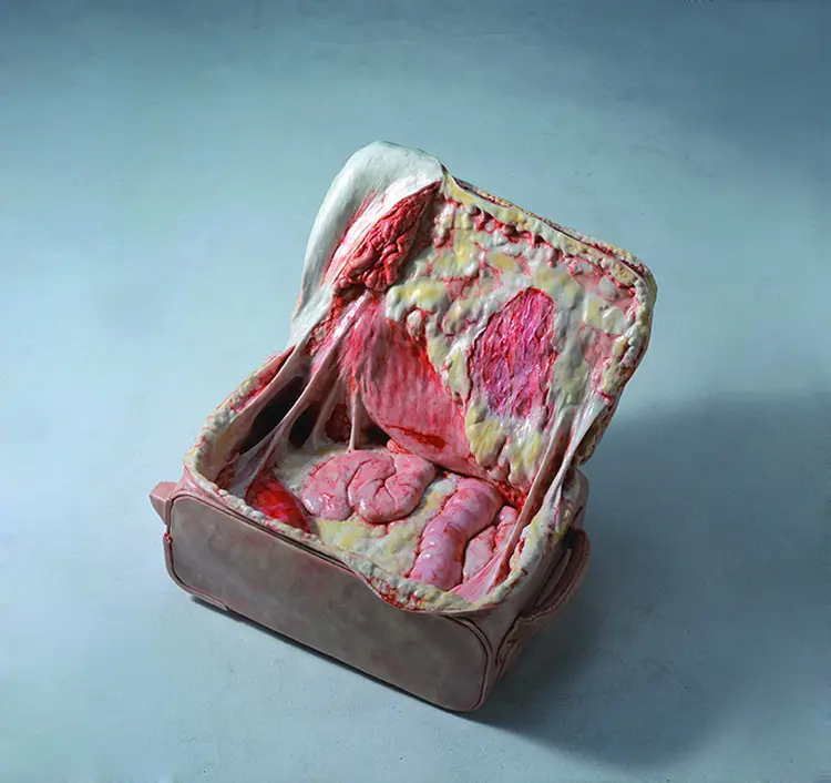 cao-hui-gutsy-flesh-