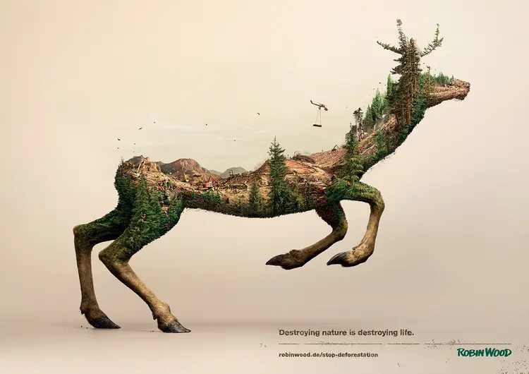 doga-katliami-