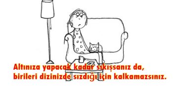 Sadece Evinde Bir Minnoşla Yaşayanların Anlayabileceği 19 Fedakâr Durum