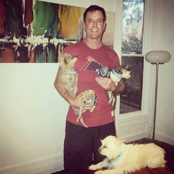 man-adopts-senior-dogs-shelter-steve-greig-3