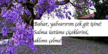 Mevsimlerin En Güzeli Olan “Bahar”ın Gelişini Kutlayan 17 Can Dündar Dizesi