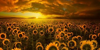 Avrupa Tatili Deyince Nedense Kimsenin Aklına Gelmeyen Romanya ve 19 Masalsı Güzelliği