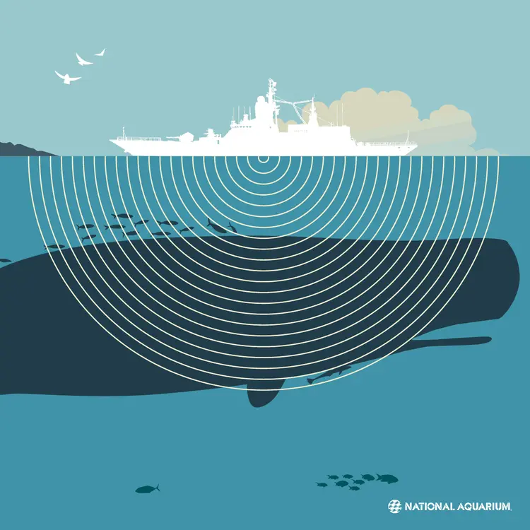 soundpollution_shareable