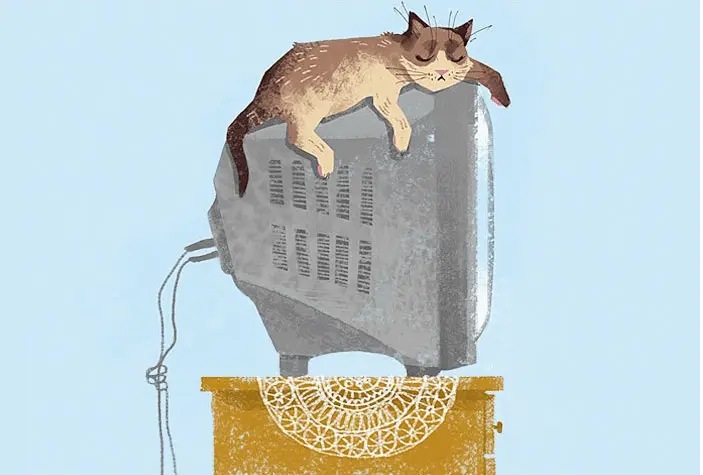 1.onceden.kedi.listelist