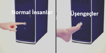 Üşengeç İnsanların Alanında Doktora Yaptığı Birbirinden Tembel 12 An