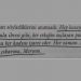 Yolları Kesişen İki Kadının Acı Hikayesi “Bin Muhteşem Güneş”ten 16 Yürek Dağlayan Alıntı