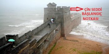 Yaşamı Başka Bir Açıdan Gösteren 15 Gerçek Fotoğraf Karesi