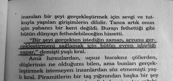 coelho-listelist-2