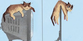 Karşılaştırmalı 10 Görselle Teknoloji Kedilerin Yaşamını Nasıl Değiştirdi