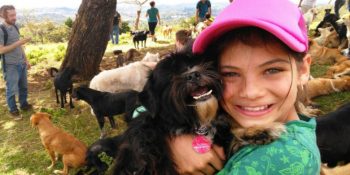 Keşke Her Şehirde Olsa Diyeceğiniz Köpeklerin Yeryüzündeki Cenneti: Kimsesiz Köpekler Diyarı