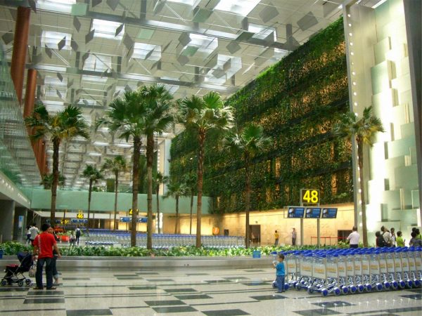 10. Changi Havaalanı