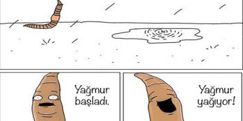 19 Eğlenceli Karikatürle Hayvanlar Kendi Aralarında Neler Konuşuyor