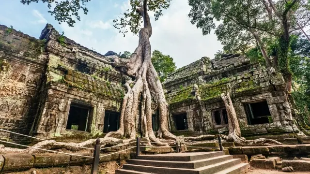 Ta-Prohm-kamboçya