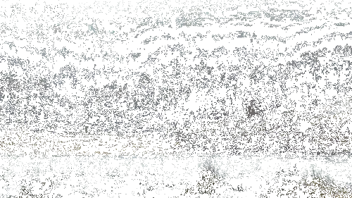 giphy (4)